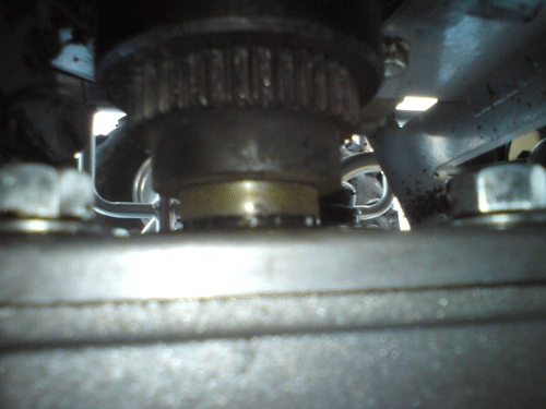 DSC00244.gif